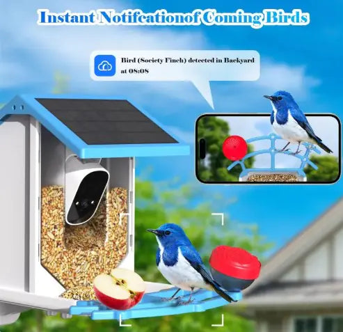 Solar Bird Feeder With Camera Hip Gear Store