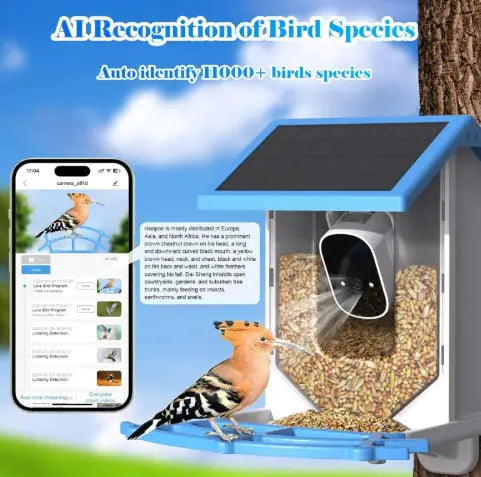 Solar Bird Feeder With Camera Hip Gear Store
