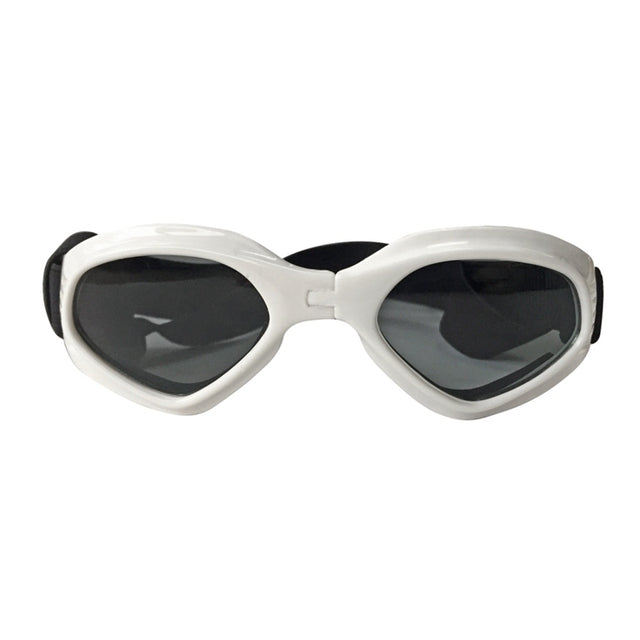 Hip Dog Sunglasses