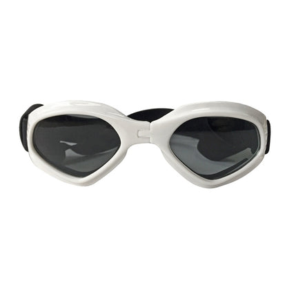 Hip Dog Sunglasses